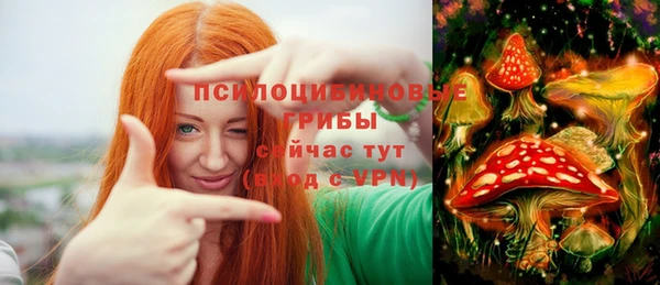 прущий лед Надым