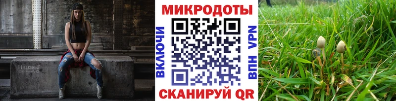 darknet какой сайт  Ульяновск  Галлюциногенные грибы Magic Shrooms 